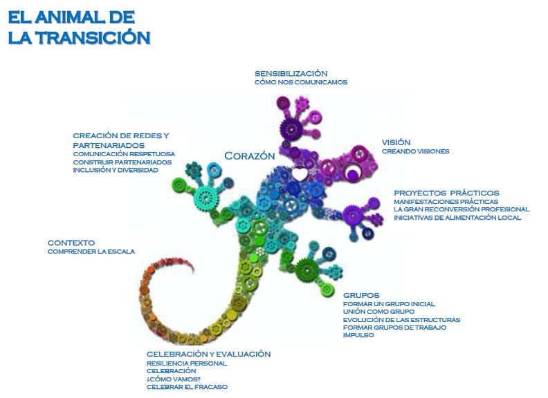 animal transicion