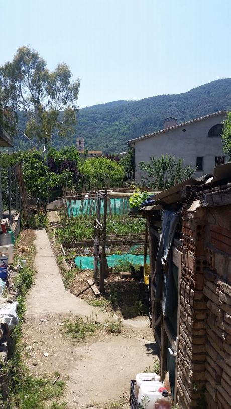 Jardín de un integrante de Argelaguer en Transición, incluyendo cultivos y gallineros