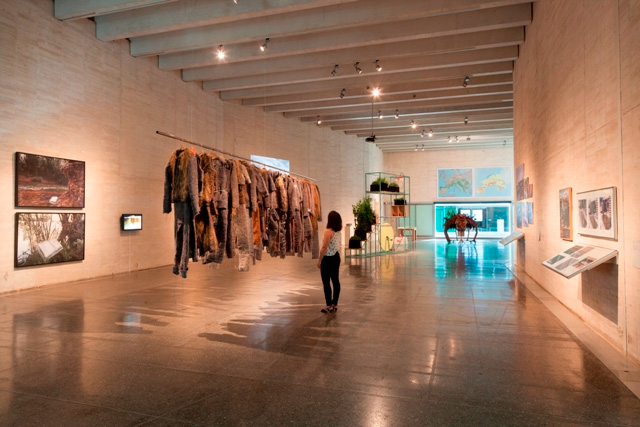 Arte y Transición: Vista de la exposición Hybris. Cortesía del MUSAC.