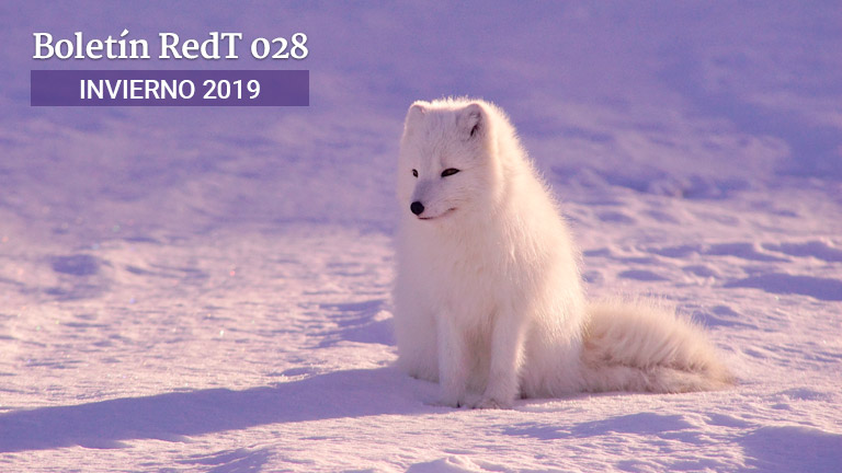 Boletín RedT Nº 28 - Invierno 2018-2019