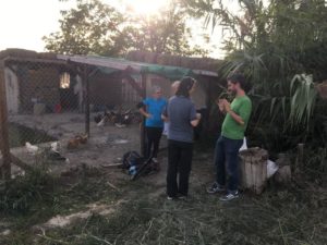 El Jardín del Decrecimiento: Gallinero feliz