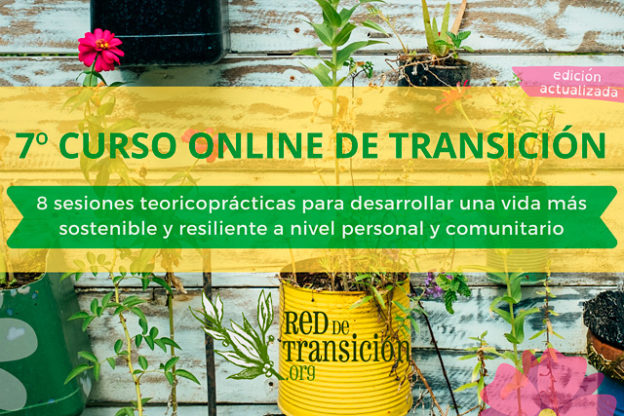 7º Curso de Transición Online