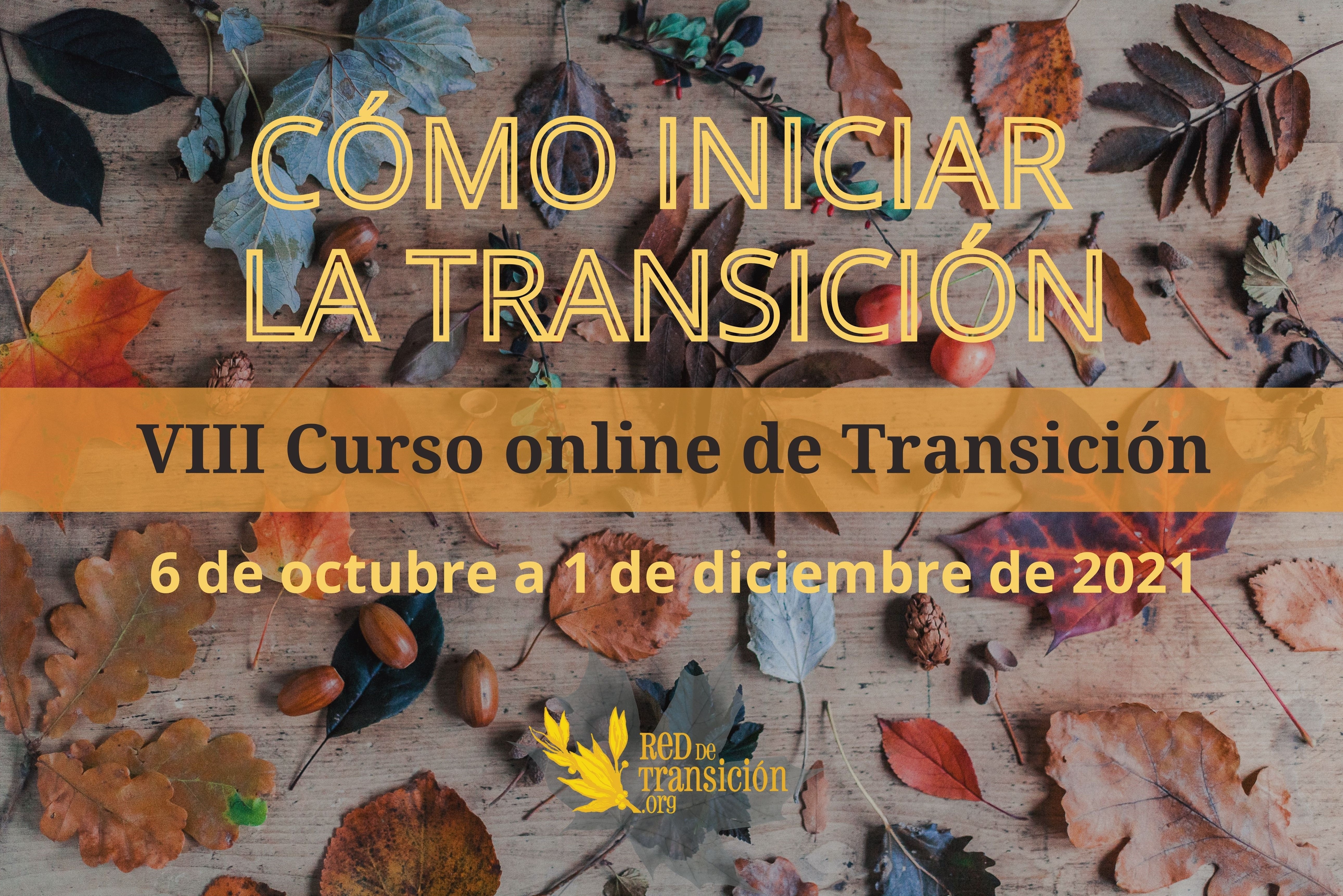 Red de Transición