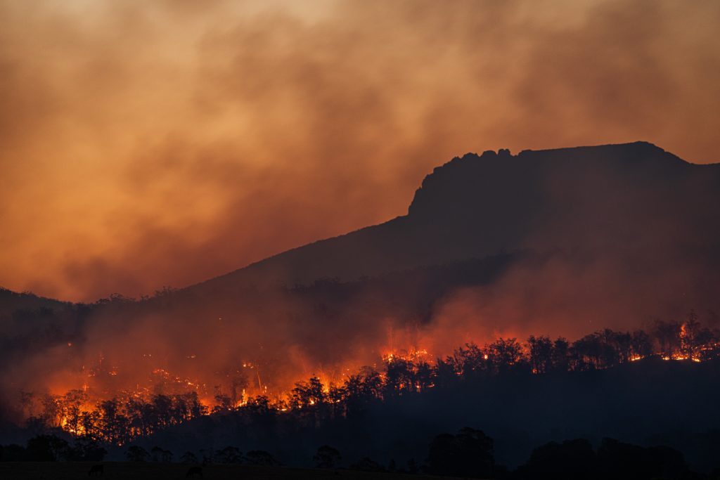 Incendios Ecocidio