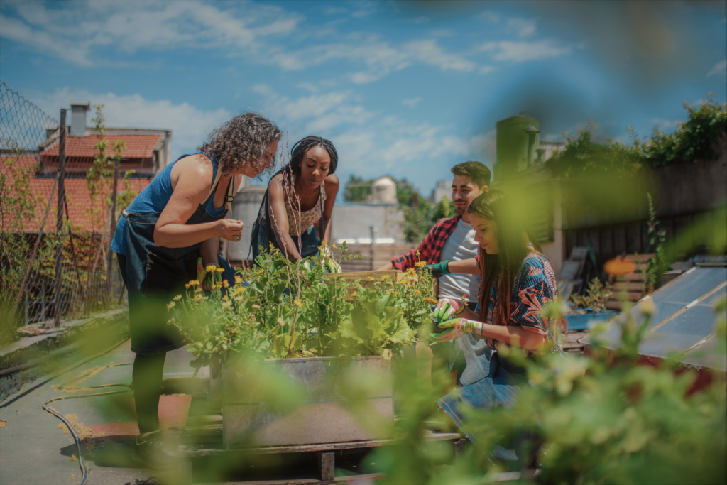 Grupo de personas en huerta comunal